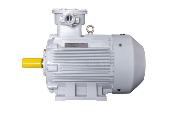 YBX3系列高效率隔爆型三相異步電動(dòng)機(jī) YBX3系列高效率隔爆型三相異步電動(dòng)機(jī)