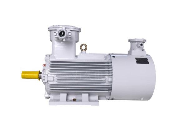 YBBPX3系列高效率隔爆型變頻調(diào)速三相異步電動(dòng)機(jī) YBBPX3系列高效率隔爆型變頻調(diào)速三相異步電動(dòng)機(jī)