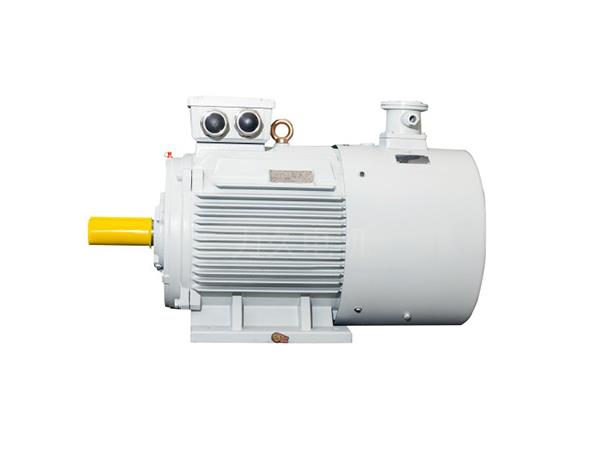 YFBBPX3系列高效率粉塵防爆型變頻調(diào)速三相異步電動機 YFBBPX3系列高效率粉塵防爆型變頻調(diào)速三相異步電動機