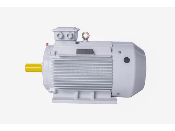 YE5(IE5)系列三相異步電動機 YE5(IE5)系列三相異步電動機