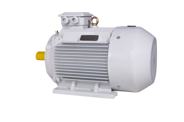 YE4(IE4)系列三相異步電動機(jī) YE4(IE4)系列三相異步電動機(jī)